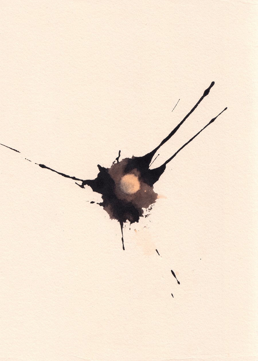 Blot 2, 2018（紙にインクと漂白剤） 作： マルコ・カンペデッリ
