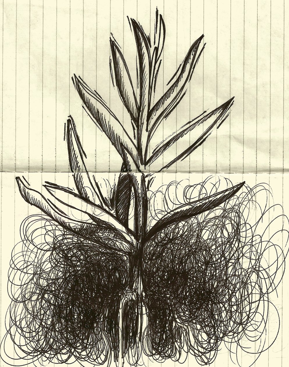 植物、2014年（紙にインク） 作： マルコ・カンペデッリ