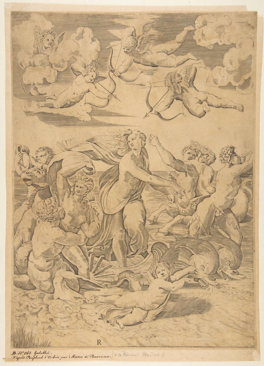 イルカ、下のキューピッドとf ...、ca。 1515-27。 作： マルコ・デンテ