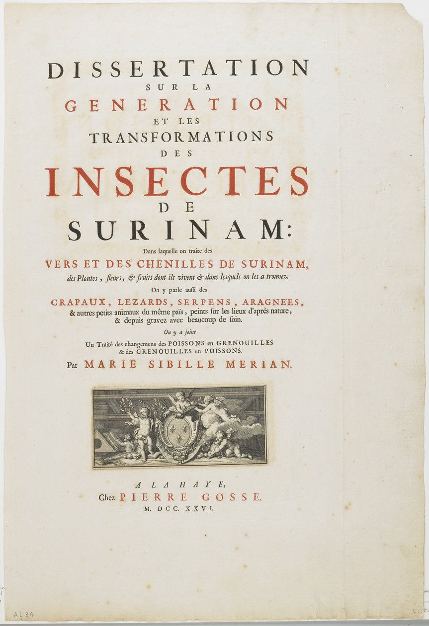 Metamorphosis Insectorum Surinamensiumのタイトルページ、1726年（彫刻と活版印刷） 作： マリア・シビラ・メリアン