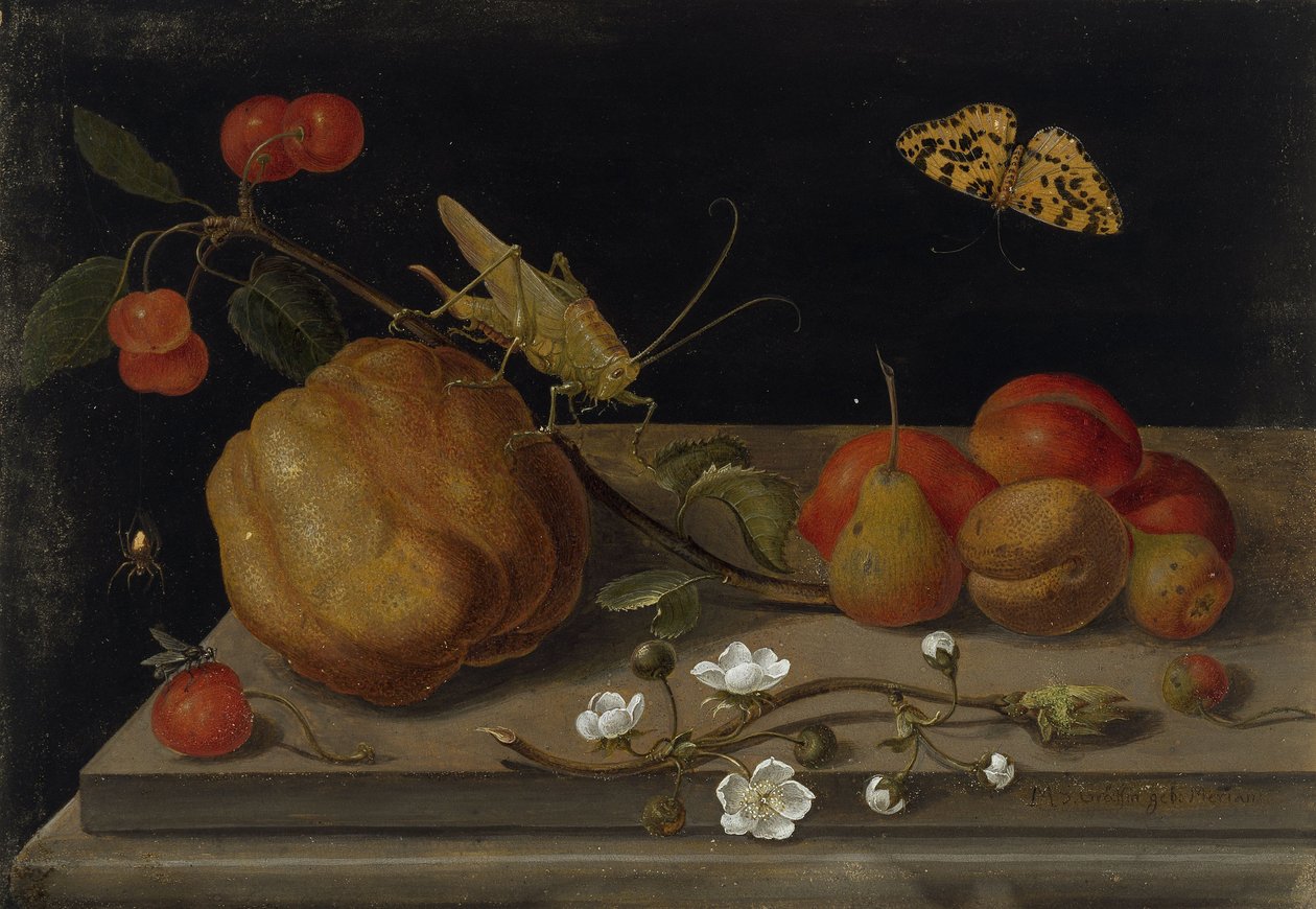 果物、バッタ、蝶のある静物、1670 年から 1680 年の間。 作： マリア・シビラ・メリアン