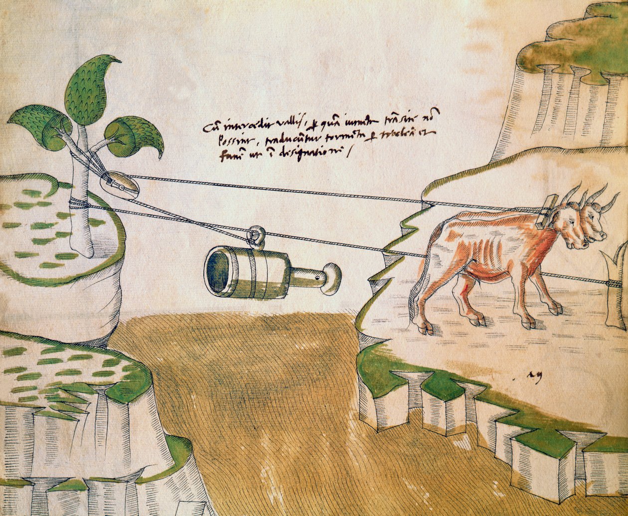 De Machinisのイラスト、滑車を描く牛（ペンとインク、紙にトイレ） 作： マリアーノ・ディ・ジャコポ1382 c.1453後マリアーノ・ディ・ジャコポ1382 c.1453後