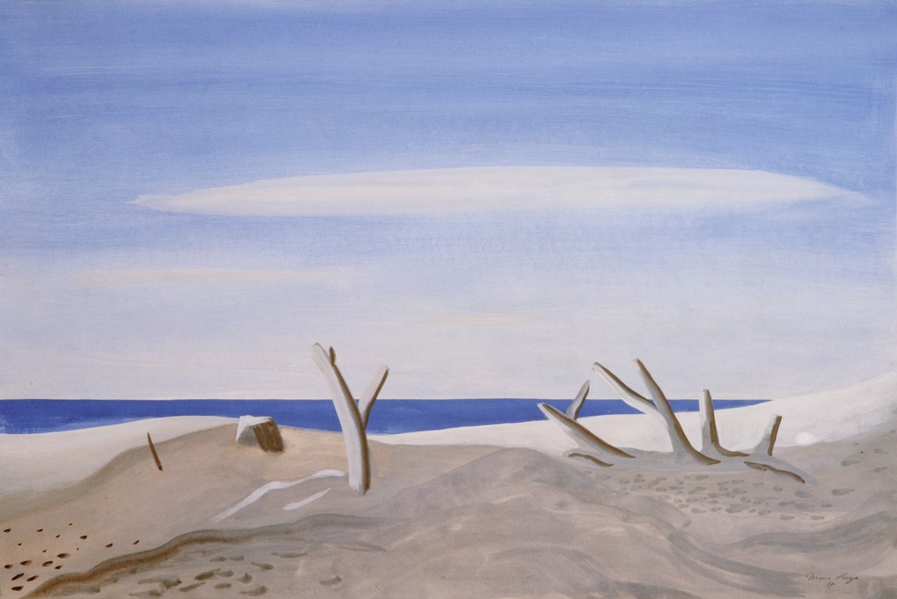 Bois Flottes du Grand Rafeau、1987年 作： マリー・ユーゴー