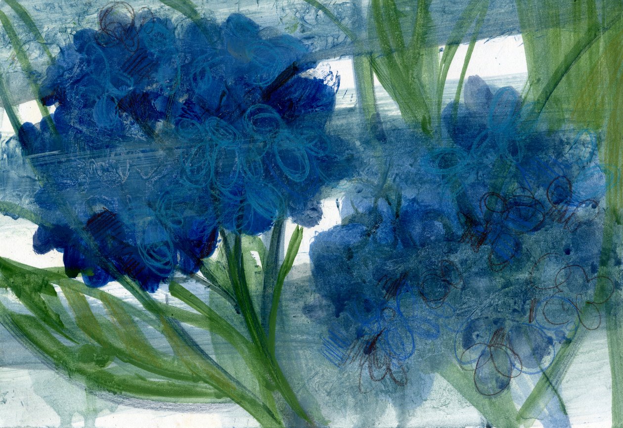 青い紫陽花、2020年（A4用紙に油彩） 作： マリーナ・ファルコ