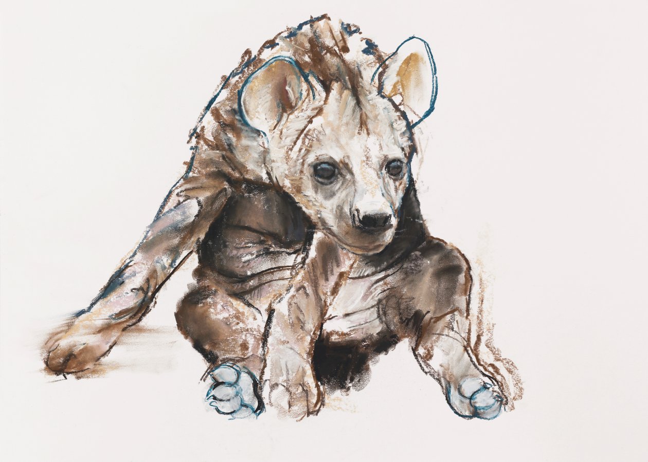 ハイエナの子犬（頭を下げて）、2019年 作： マーク・アドリントン