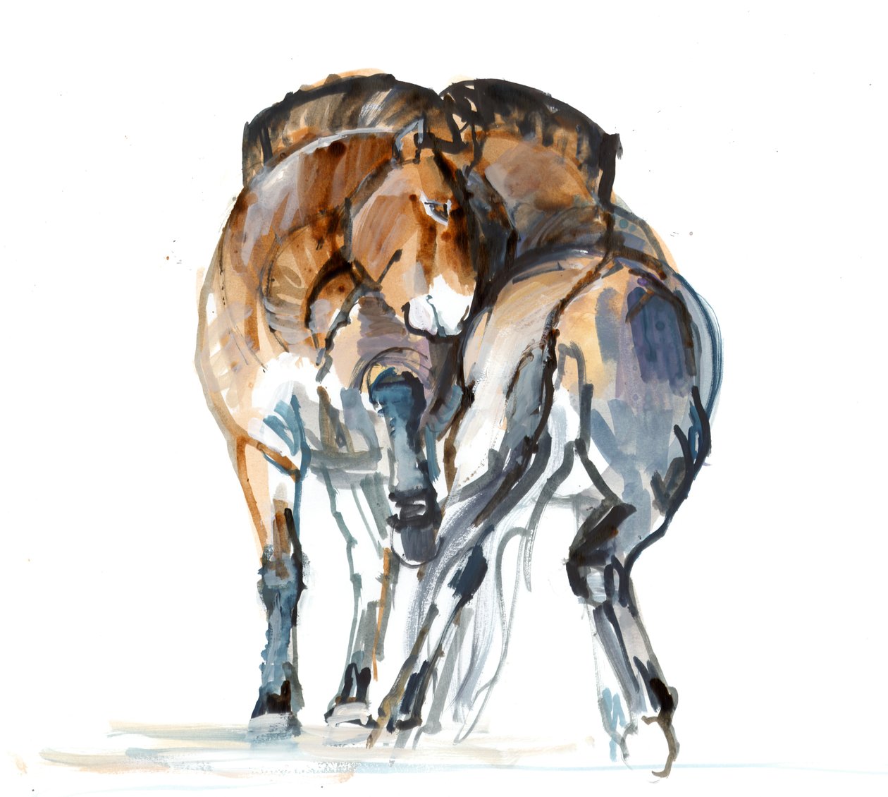 パワーダンス（Przewalski）、2013年（sennelierインク、水彩、ガッシュ） 作： マーク・アドリントン
