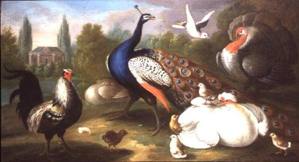 川のほとりの孔雀、七面鳥、雌鳥、コケコッコー、鳩 作： マーマデューク・クラドック