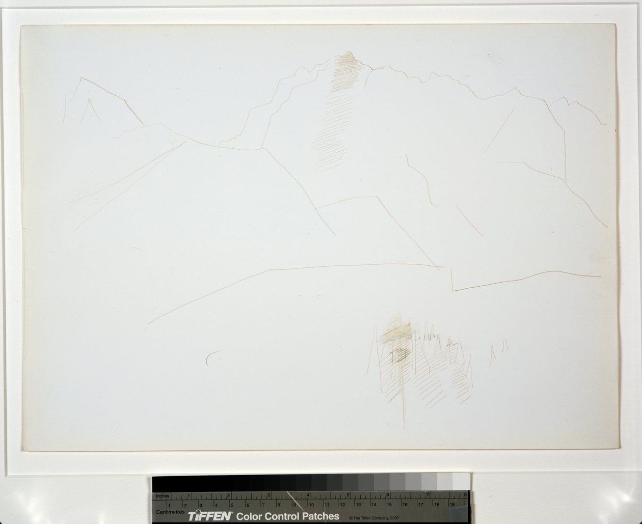 木の塊のある山の風景 作： マースデンハートリー