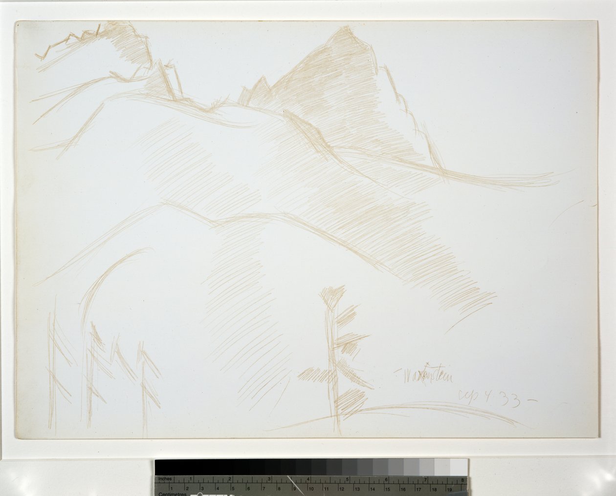 松の木のある山の風景 作： マースデンハートリー