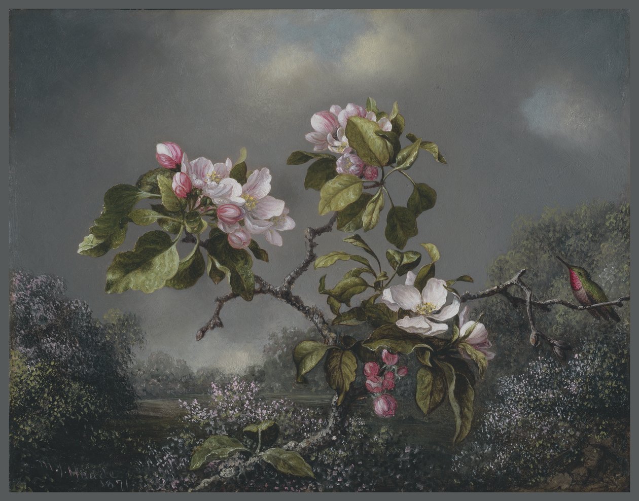 リンゴの花とハチドリ、1871年