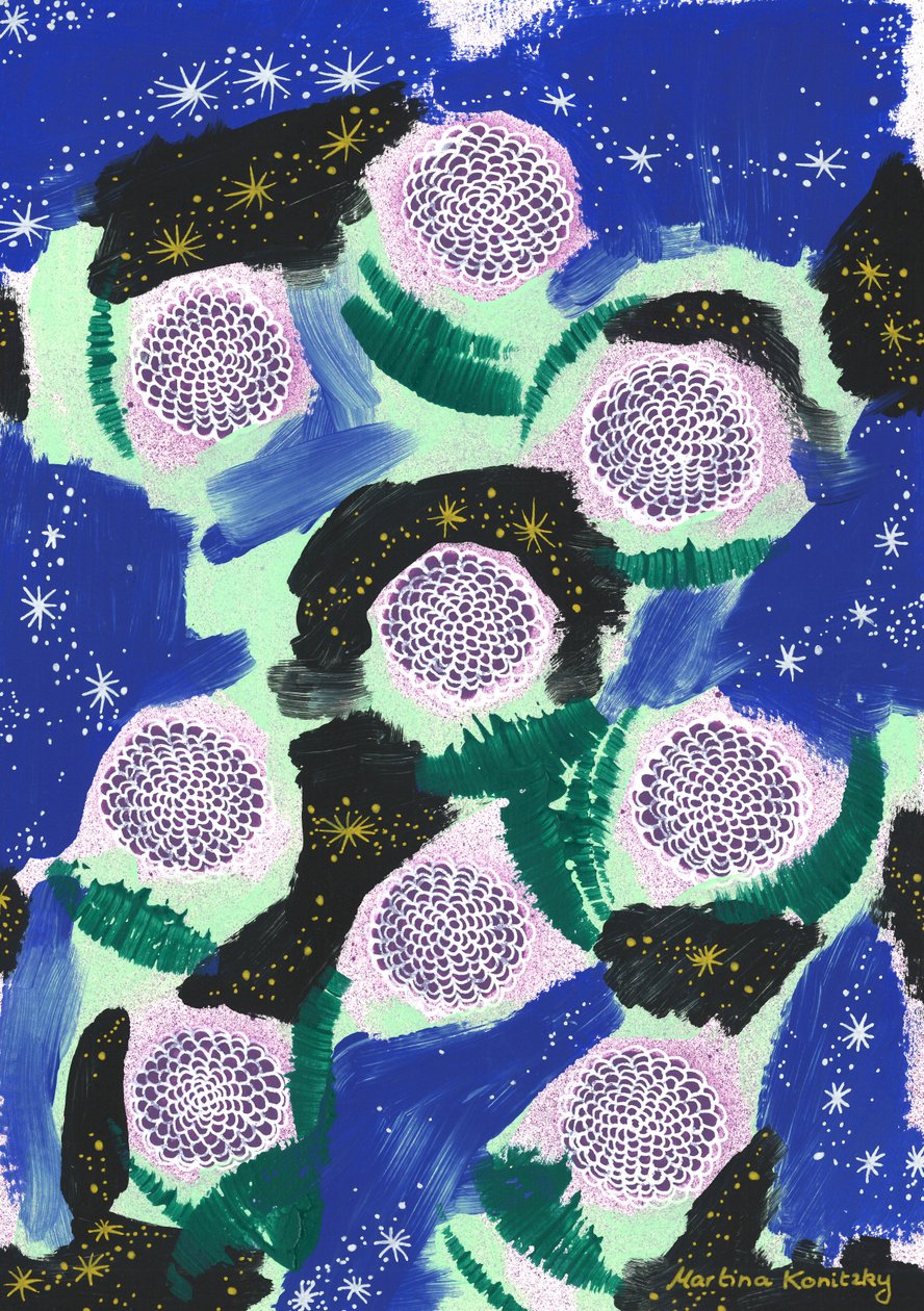 迷彩の夜の花（Joseph von Eichendorffへのオマージュ） 作： マルティナ・コニツキー
