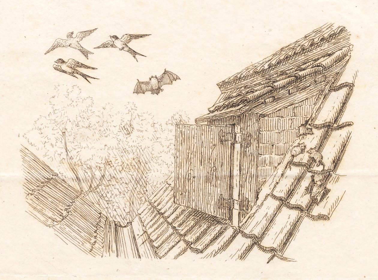 Heyさんの「半百童話」の挿絵です。 作： マルティヌス・ロビエ