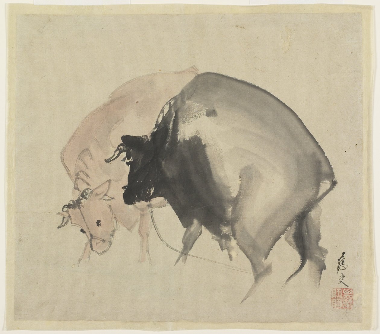 2匹の雄牛、1810年頃（紙のインクと色） 作： 丸山大樹