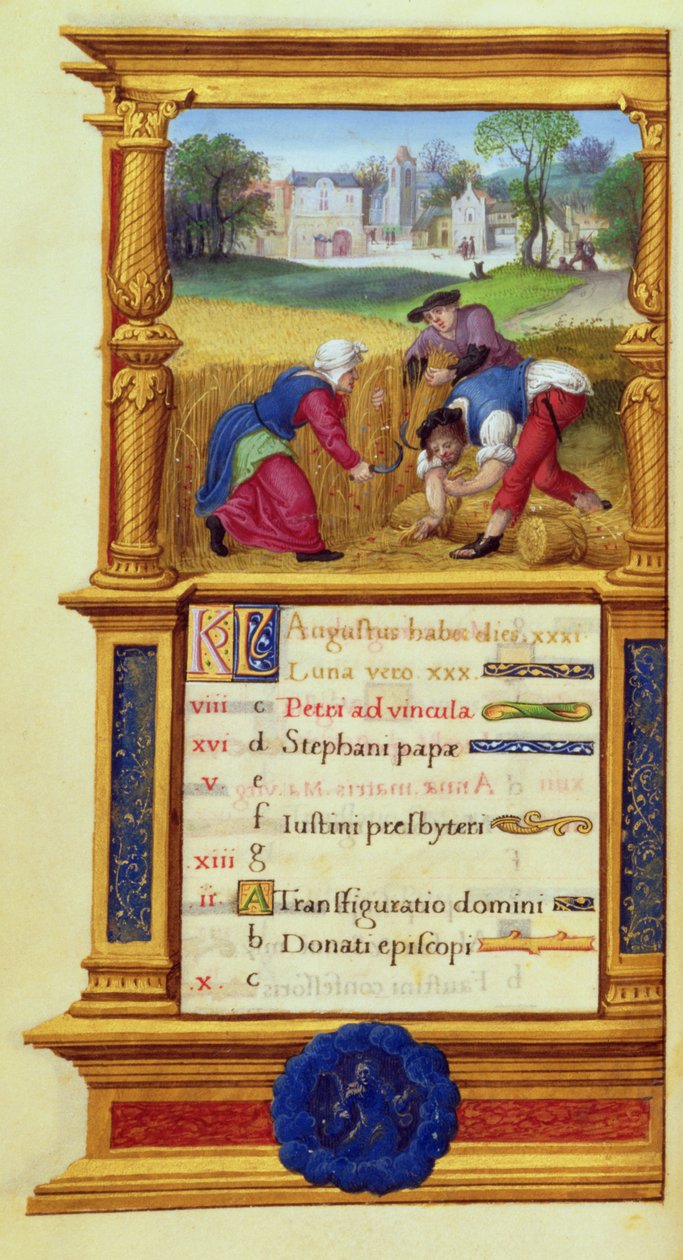 MS W.449 fol.9v 8月の刈り取り小麦、c.1525 作： マスタージャンドモーロン
