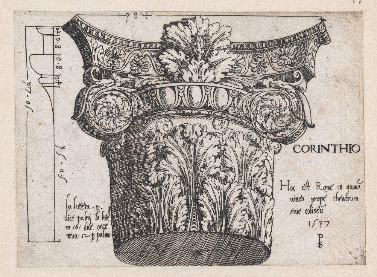 Speculum Romanae Magnificentiae:コリント式柱頭、1537年、1537年 作： マスターPS