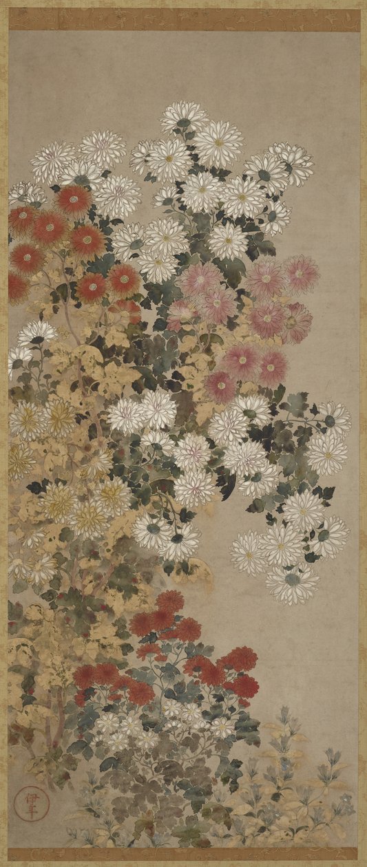 菊、掛軸（パネル上）、1600-30（紙色） 作： 印鑑の達人