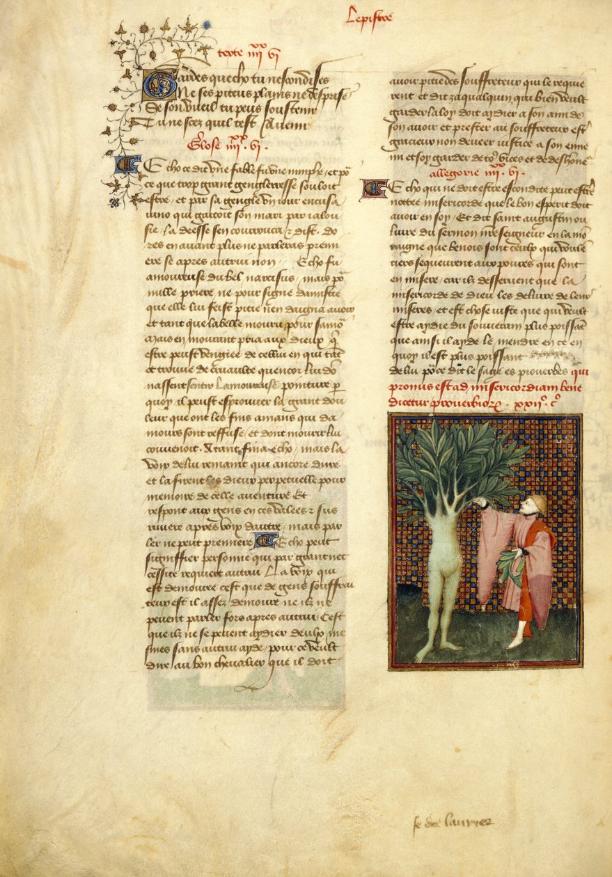 ハーレー 4431 、f.134v アポロとダフネ、「クリスティーヌ ド ピザンの作品集」より 作： シテデダムのマスター