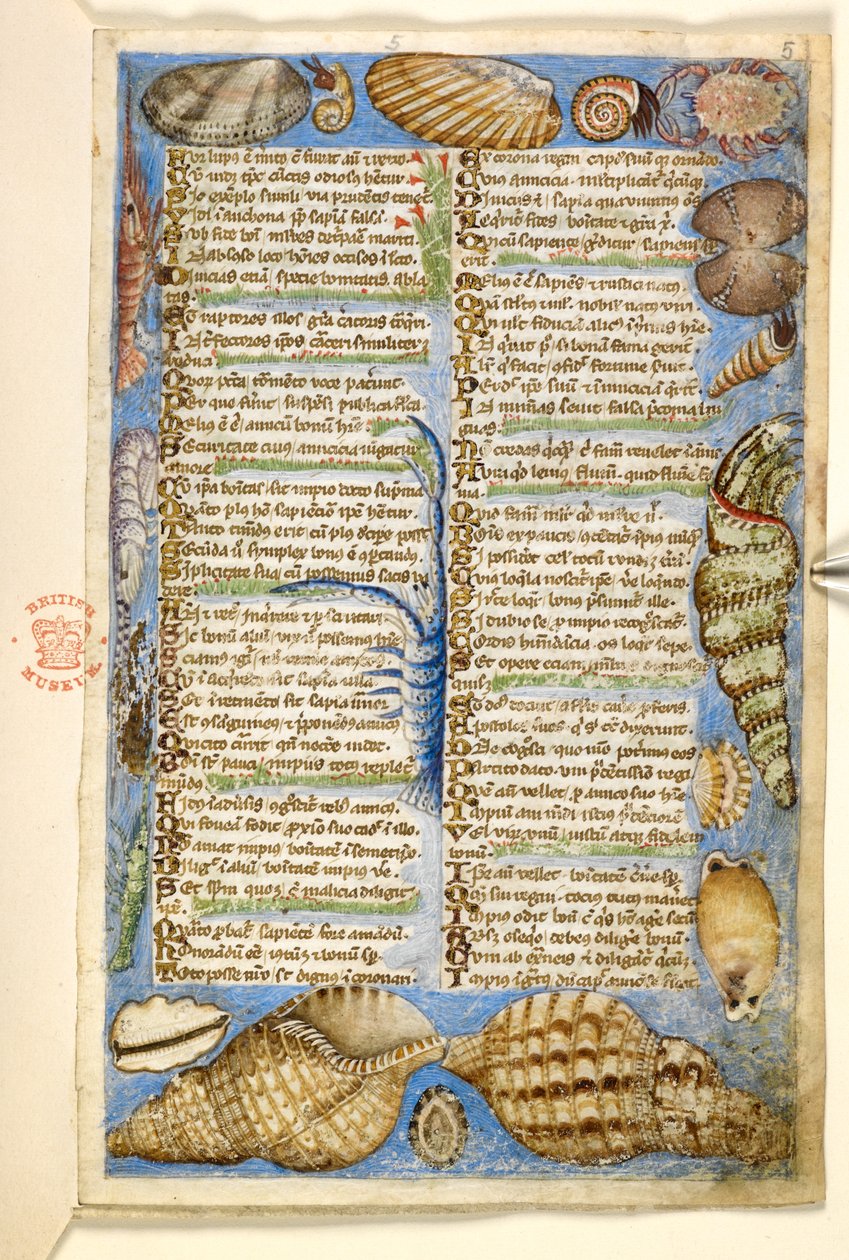 追加。 28841、f.5: 貝殻と海洋生物、美徳と悪徳に関する論文、およびシチリアの匿名の散文史 (断片)、c.1330-40 (ベラム) 作： コデックスのマスター