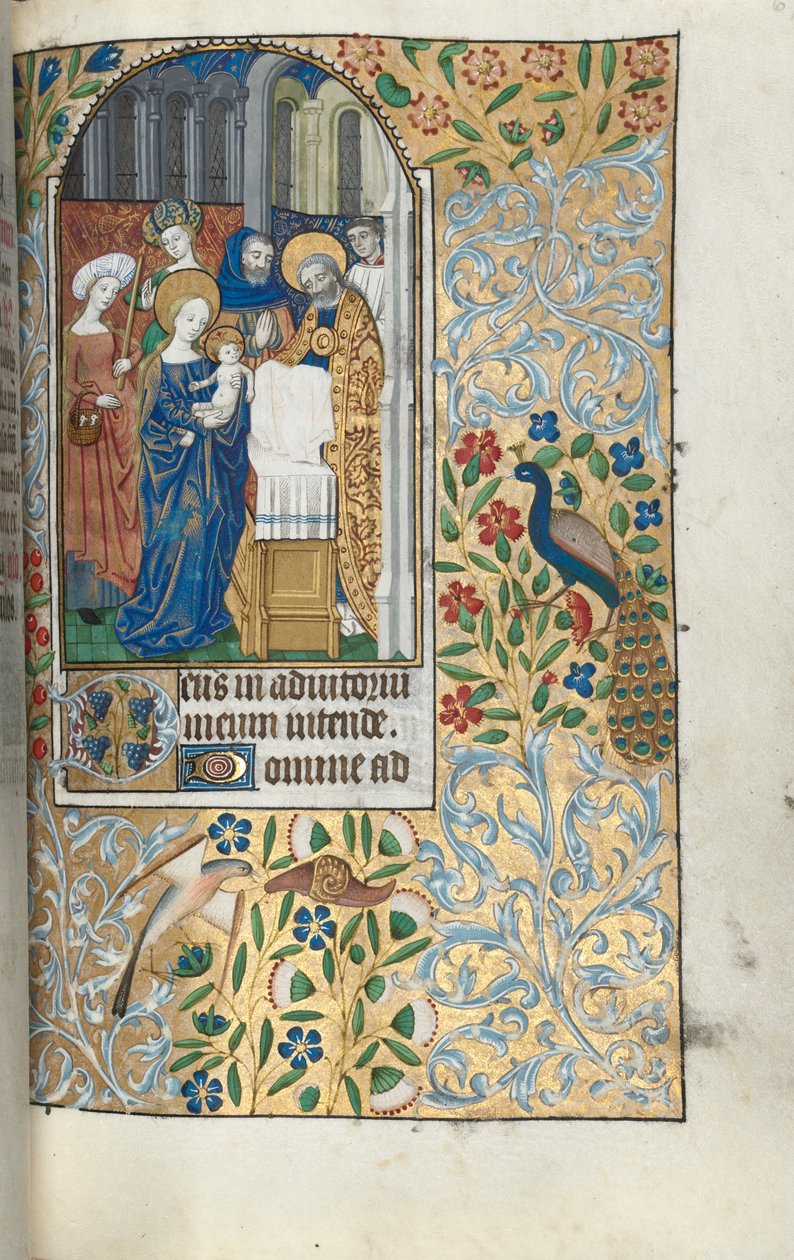 ルーアンの時間使用法：fol。 67r、神殿でのキリストの子の紹介、c。 1470。 作： ジュネーヴ・ラティーニのマスター