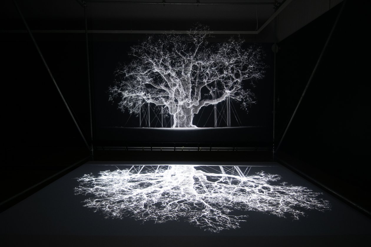 2023年、ロンドンのキューガーデンで開催されたマット・コリショーによる「Petrichor」展でのアルビオン（写真） 作： マット・コリショー
