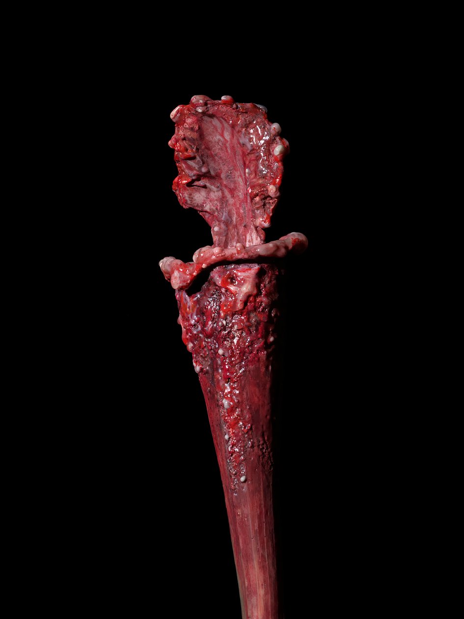 Venal Muse, Fenside, 2012 (レジン、エナメルペイント、木、ガラス、スチール) 作： マット・コリショー