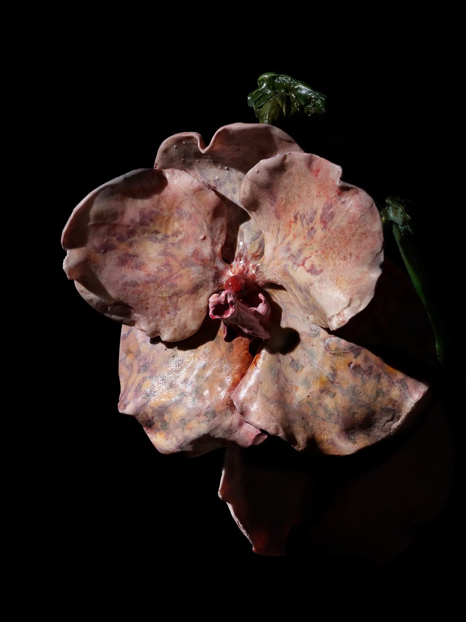Venal Muse, Impetus, 2012 (樹脂、エナメル塗料、木、ガラス、スチール) 作： マット・コリショー