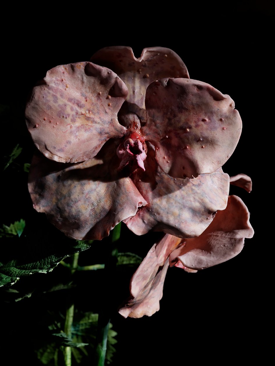 Venal Muse, Impetus, 2012 (樹脂、エナメル塗料、木、ガラス、スチール) 作： マット・コリショー