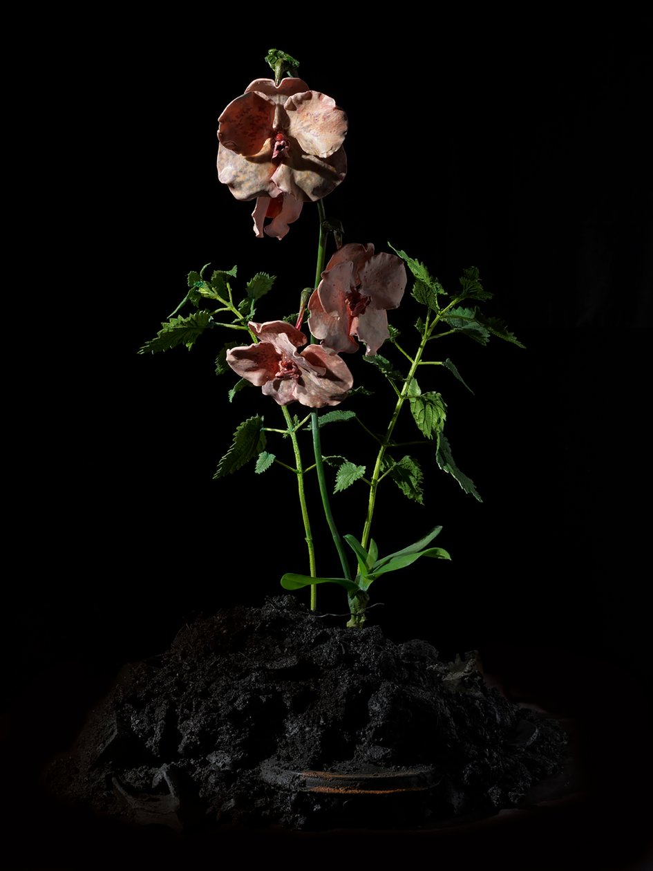 Venal Muse, Impetus, 2012 (樹脂、エナメル塗料、木、ガラス、スチール) 作： マット・コリショー
