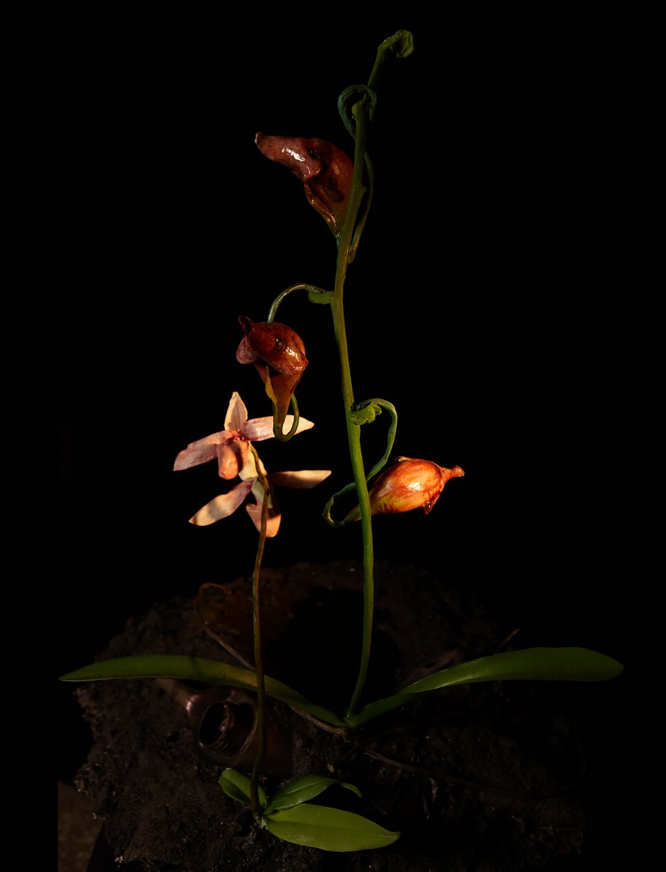 Venal Muse, Lafage, 2012 (樹脂、エナメル塗料、木、ガラス、スチール) 作： マット・コリショー