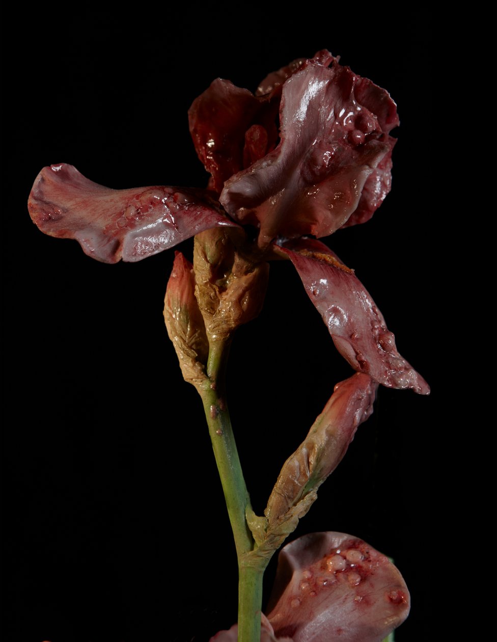 Venal Muse, Viridor, 2012 (樹脂、エナメル塗料、木、ガラス、スチール) 作： マット・コリショー
