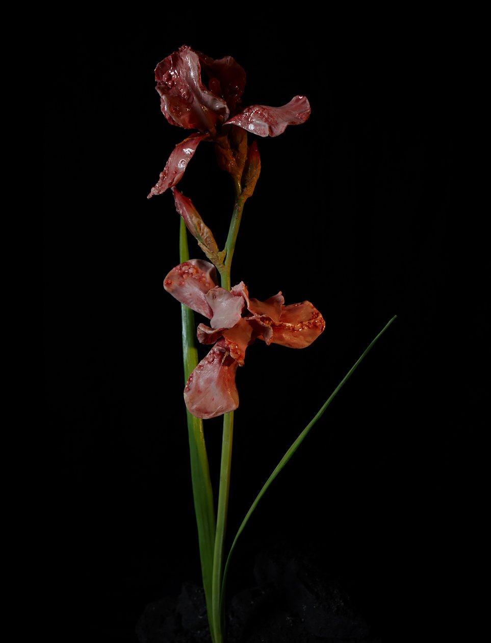 Venal Muse, Viridor, 2012 (樹脂、エナメル塗料、木、ガラス、スチール) 作： マット・コリショー