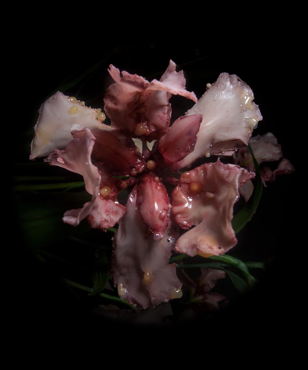 Venal Muse, Viridor, 2012 (樹脂、エナメル塗料、木、ガラス、スチール) 作： マット・コリショー