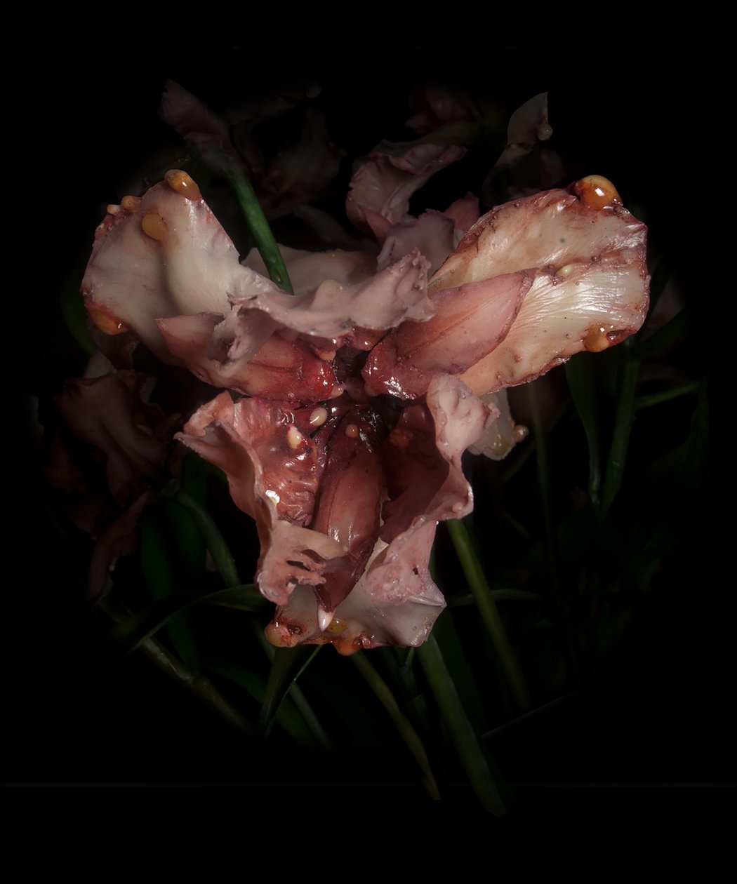 Venal Muse, Viridor, 2012 (樹脂、エナメル塗料、木、ガラス、スチール) 作： マット・コリショー