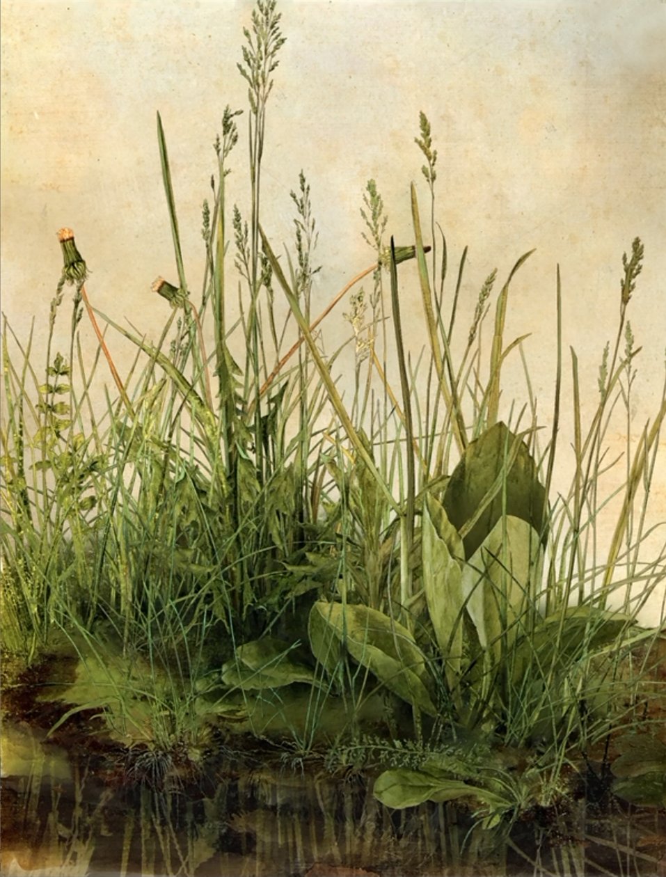 Whispering Weeds, 2011 （木製フレーム、ボーダー、LCDスクリーン、ファン、ハードディスクドライブ） 作： マット・コリショー