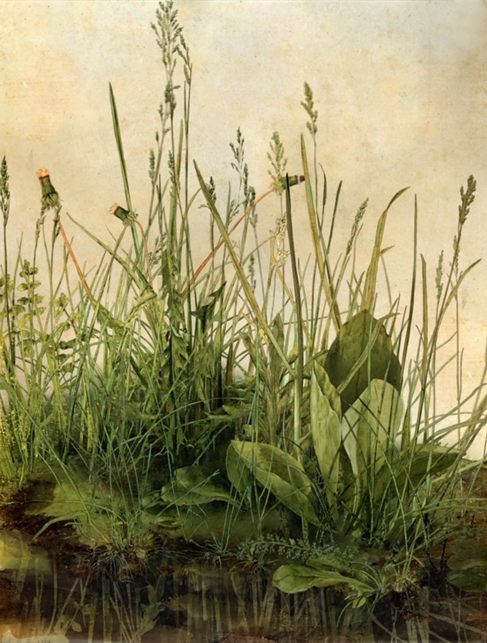 Whispering Weeds, 2011 （木製フレーム、ボーダー、LCDスクリーン、ファン、ハードディスクドライブ） 作： マット・コリショー
