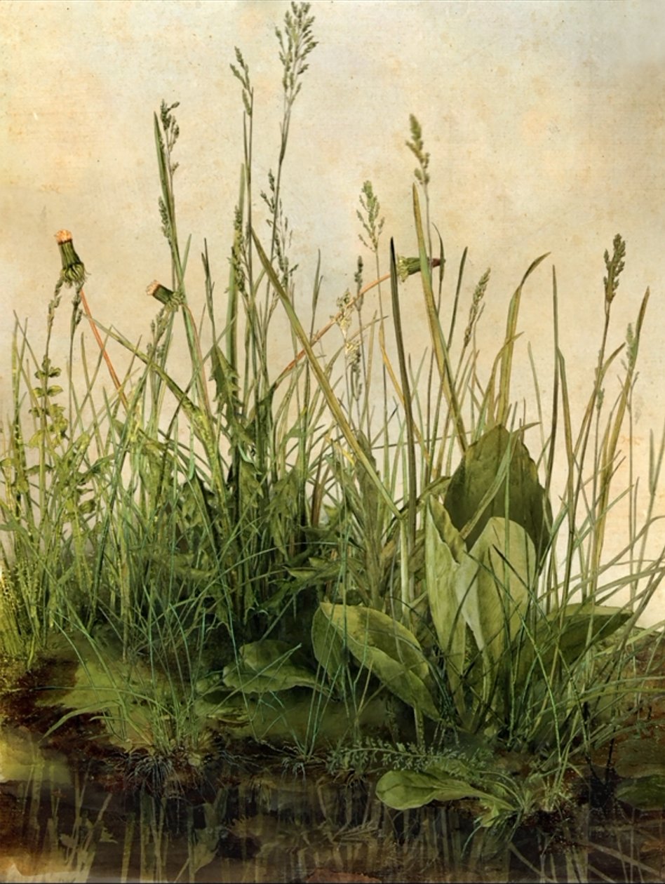 Whispering Weeds, 2011 （木製フレーム、ボーダー、LCDスクリーン、ファン、ハードディスクドライブ） 作： マット・コリショー