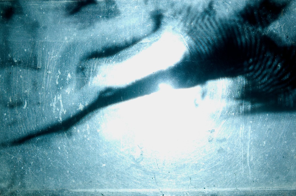Wormery, 2009 (木、ガラス、スチール、プロジェクター、プレーヤー) 作： マット・コリショー