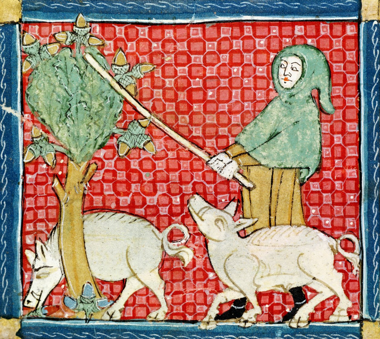 Fol.59v 11月：ドングリの収集 作： マトフレ・エルメンガウト