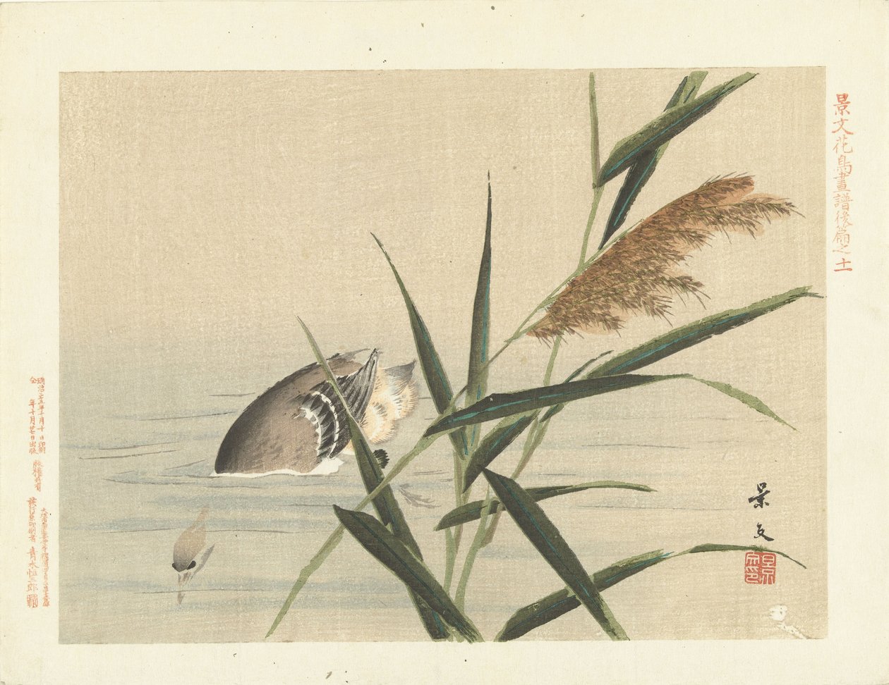葦でのダイビング アヒル 景文の花鳥画 三部（連載タイトル） 景文課長画風講変 作： 松村敬文