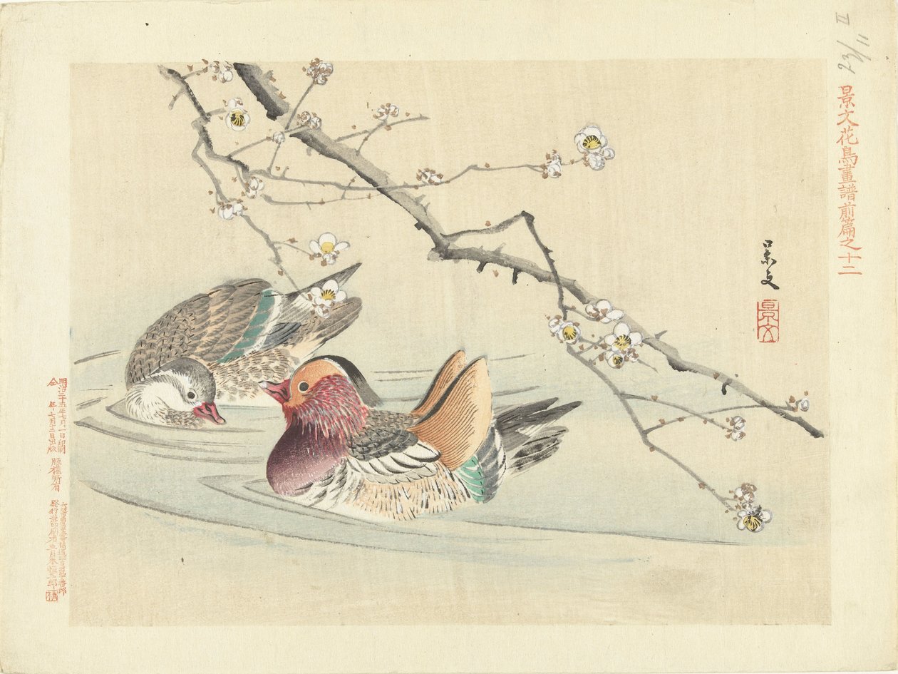 二羽のアヒル 景文の花鳥画 前編（連載タイトル） 景文課長画風全ペン 作： 松村敬文