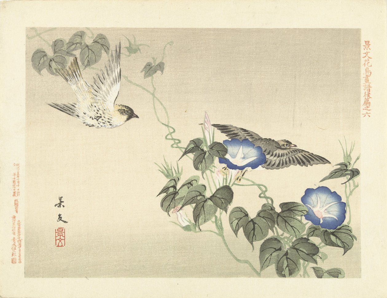 青いヒルガオで飛んでいる 2 羽の鳥 景文の花鳥画 三部（連載タイトル） 景文課長画風講変 作： 松村敬文