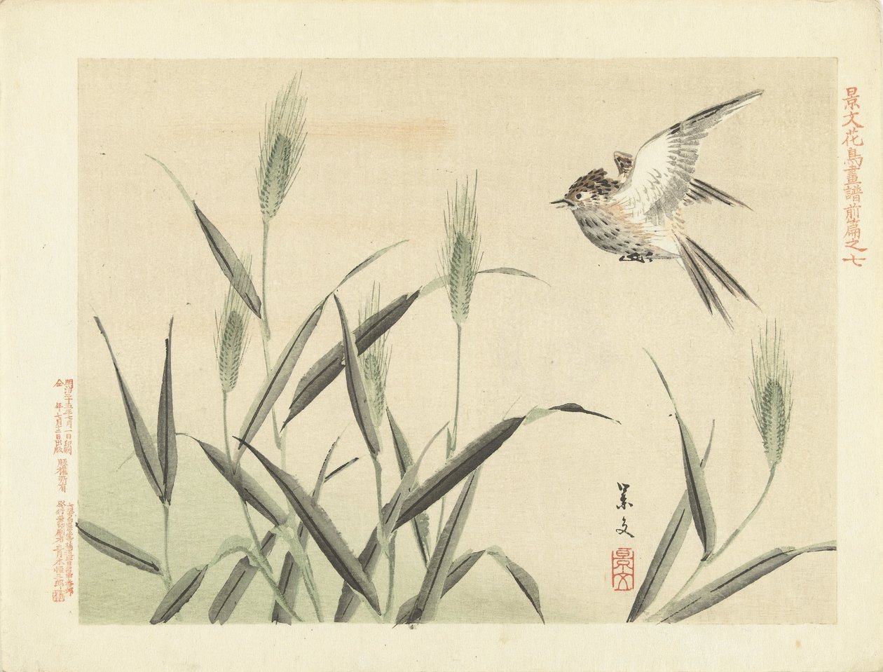 草の間を飛んでいる鳥 景文の花鳥スケッチ 前編（連載タイトル） 景文課長画風全ペン 作： 松村敬文