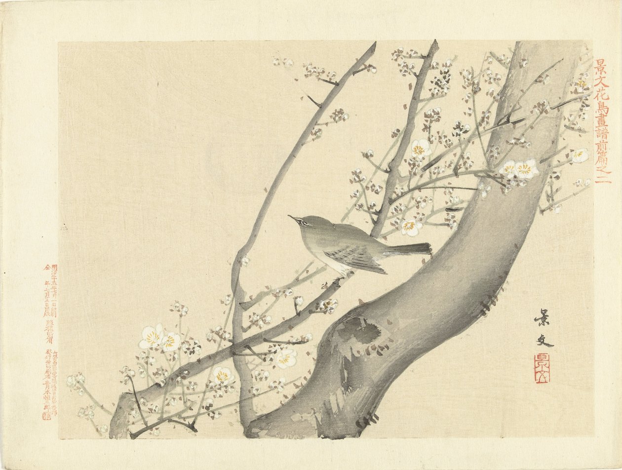 白い花を持つ木の鳥 景文の花鳥画 前編（連載タイトル） 景文課長画風全ペン 作： 松村敬文