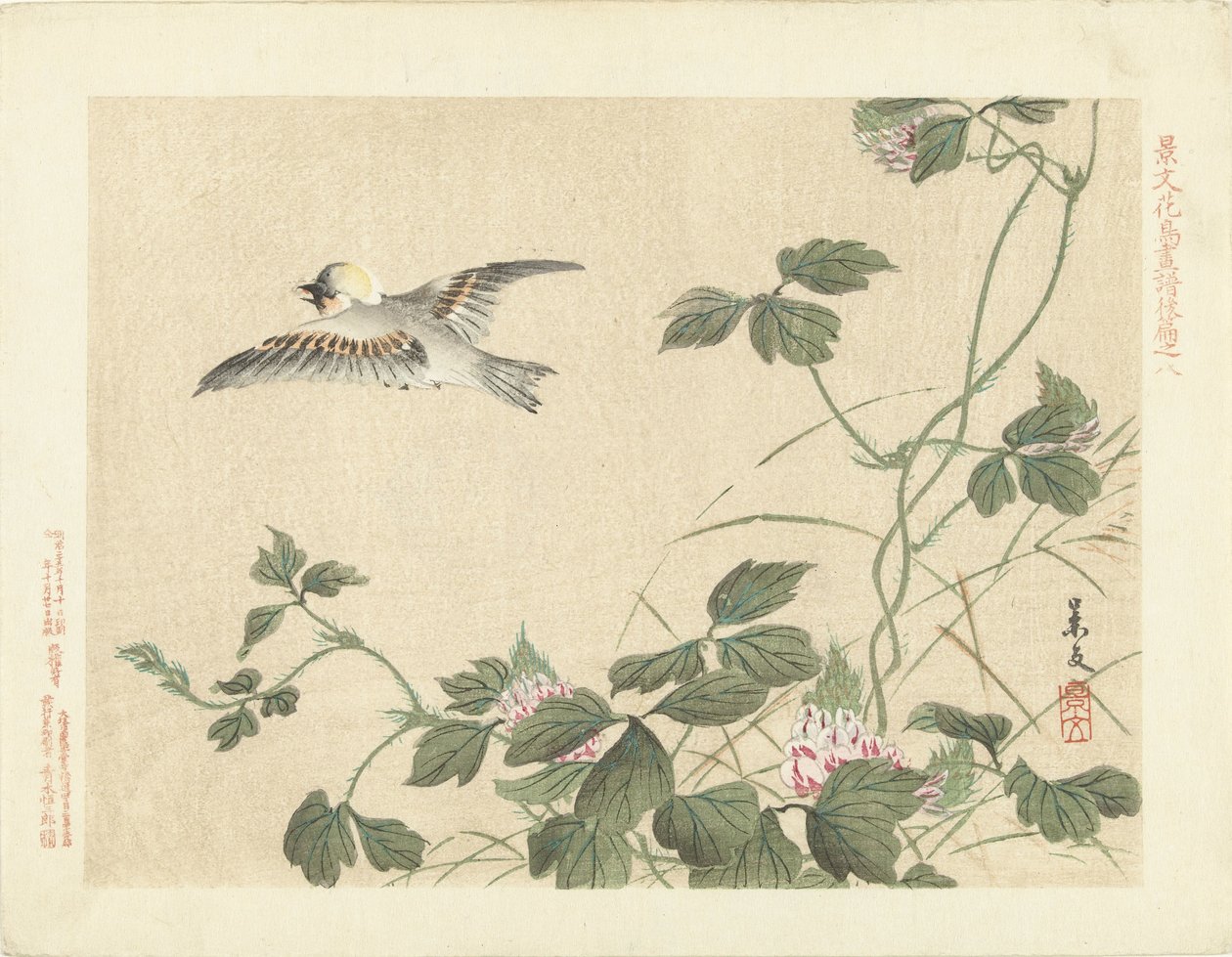 ピンクの花を持つつる性植物から飛び立つ鳥 景文の花鳥画 第三部（連載タイトル） 景文課長画風講変 作： 松村敬文