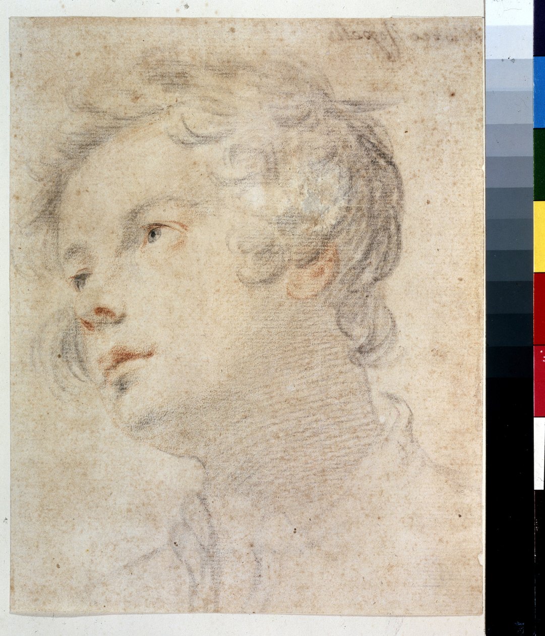 男の子の頭。 Matteo Rosselli (1578-1650) による絵画。 紙にチョークと赤チョーク 作： マッテオ・ロッセリ