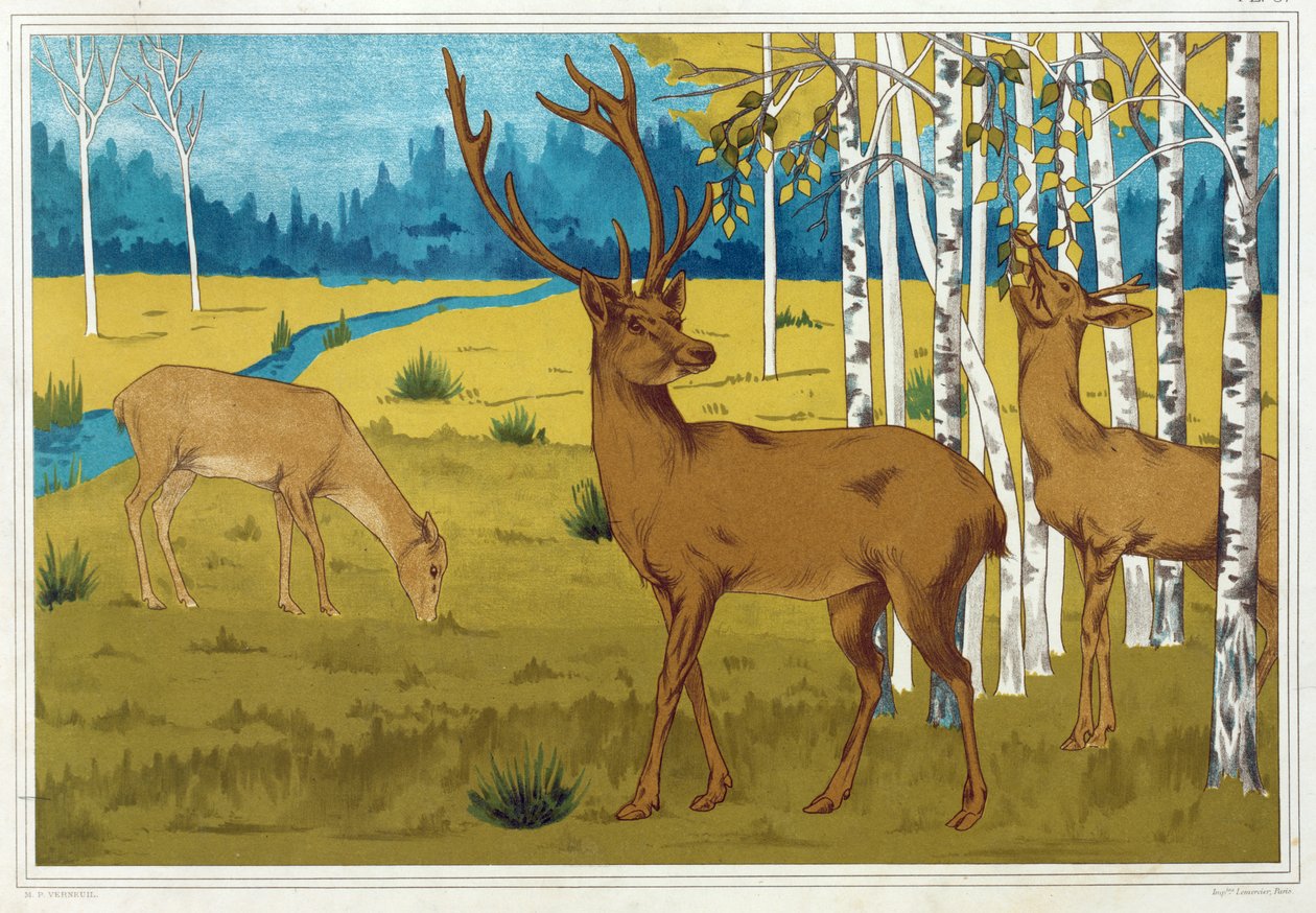「装飾の中の動物」の鹿、パブ。 1897年。 作： モーリス・ピヤール・ヴェルヌイユ