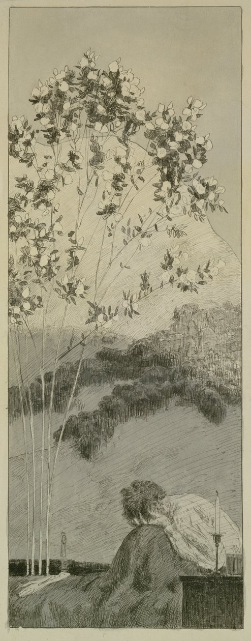 1881年に出版された「手袋の発見に関するパラフレーズ」1878年の一連の10枚のプレートからの欲望（紙にインドのインク） 作： マックス・クリンガー