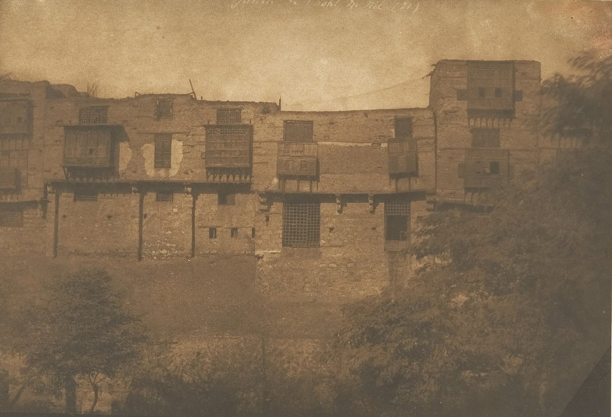1849年12月から1850年1月にかけて、カイロのフランスクォーターの庭から撮影された風景。 作： マキシムデュキャンプ