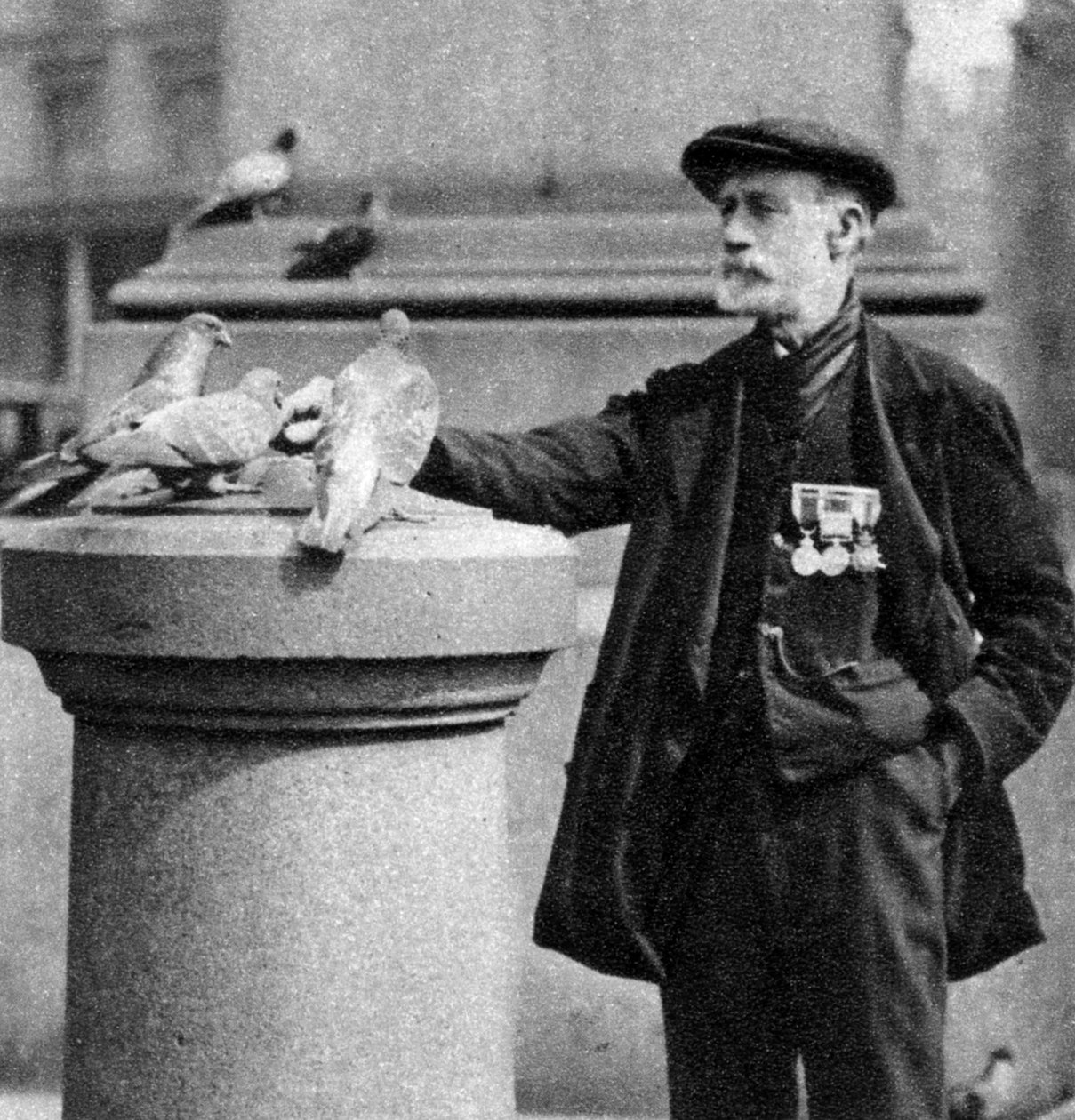 1926-1927年、ハトを乗せた老兵、トラファルガースクエア、ロンドン。 作： マクリーシュ