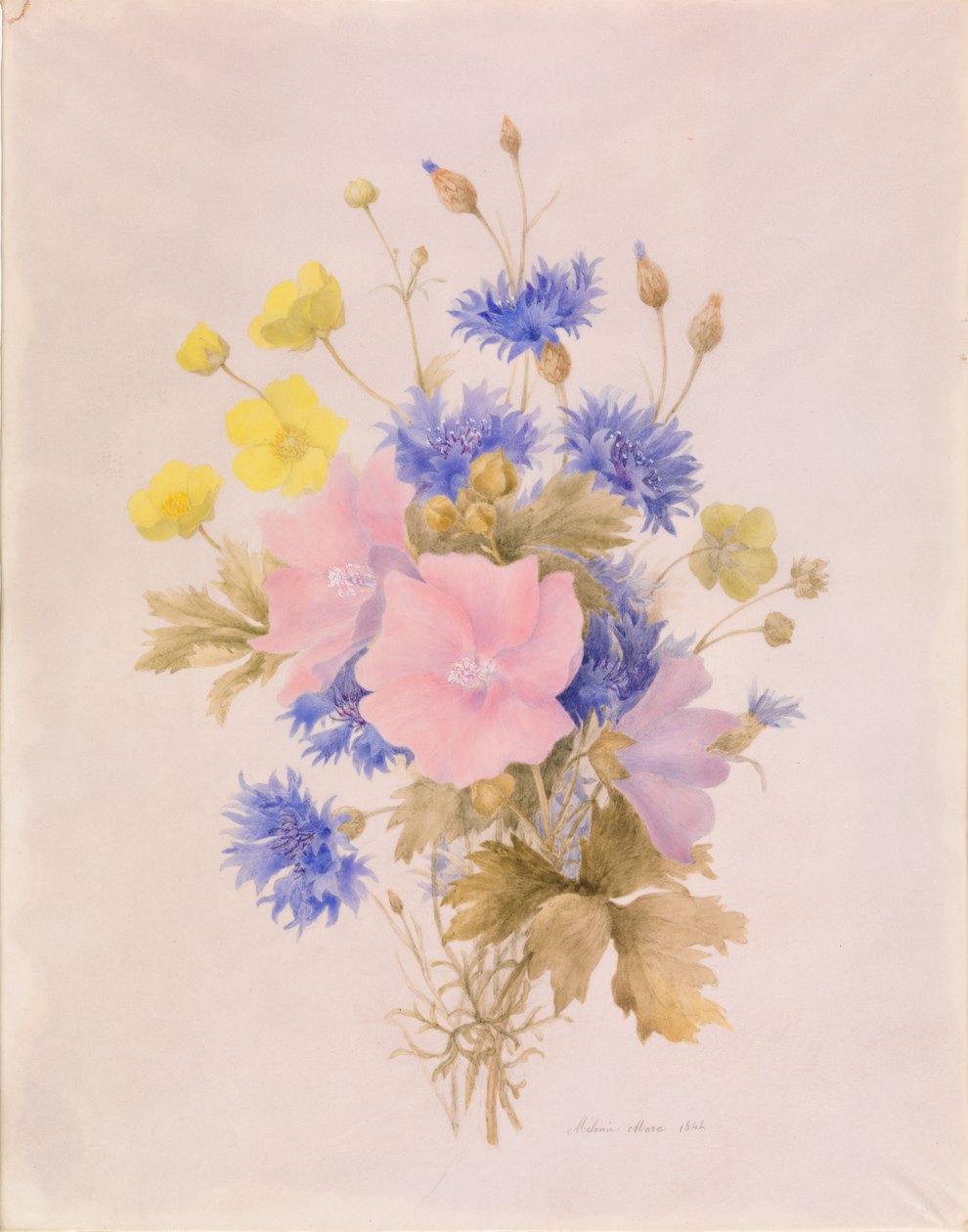 野の花 作： メラニーマーク